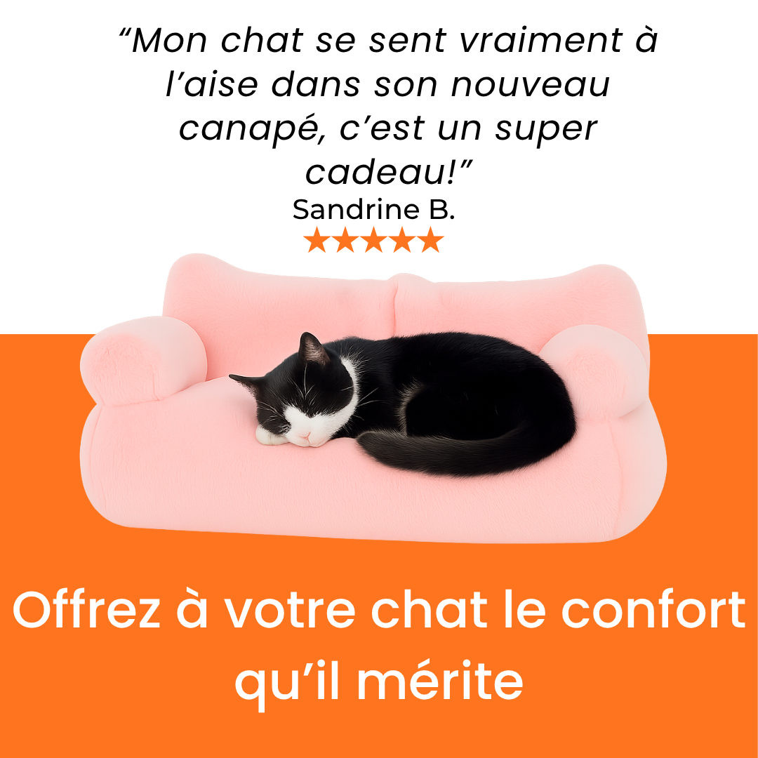 Canapé orthopédique Ultra Moelleux FluffyPet