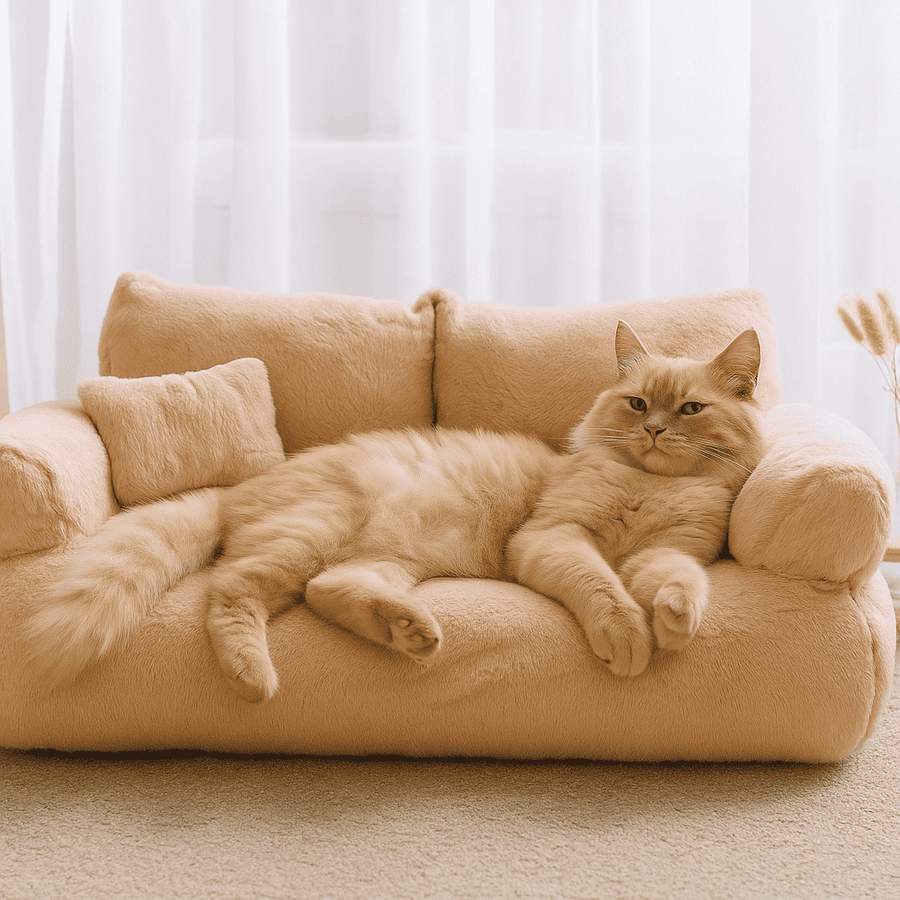 Canapé orthopédique Ultra Moelleux FluffyPet