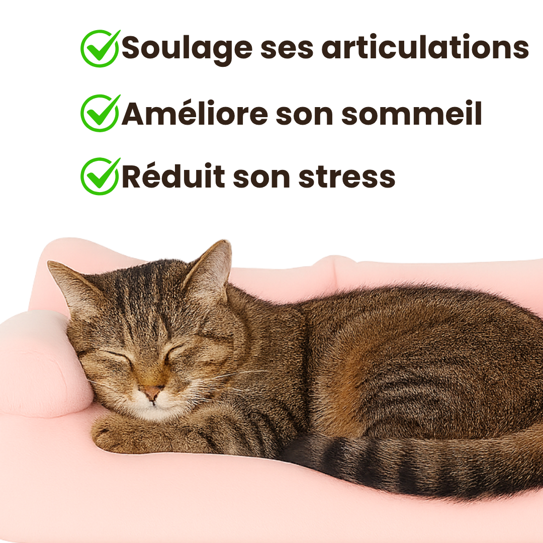 Canapé orthopédique Ultra Moelleux FluffyPet